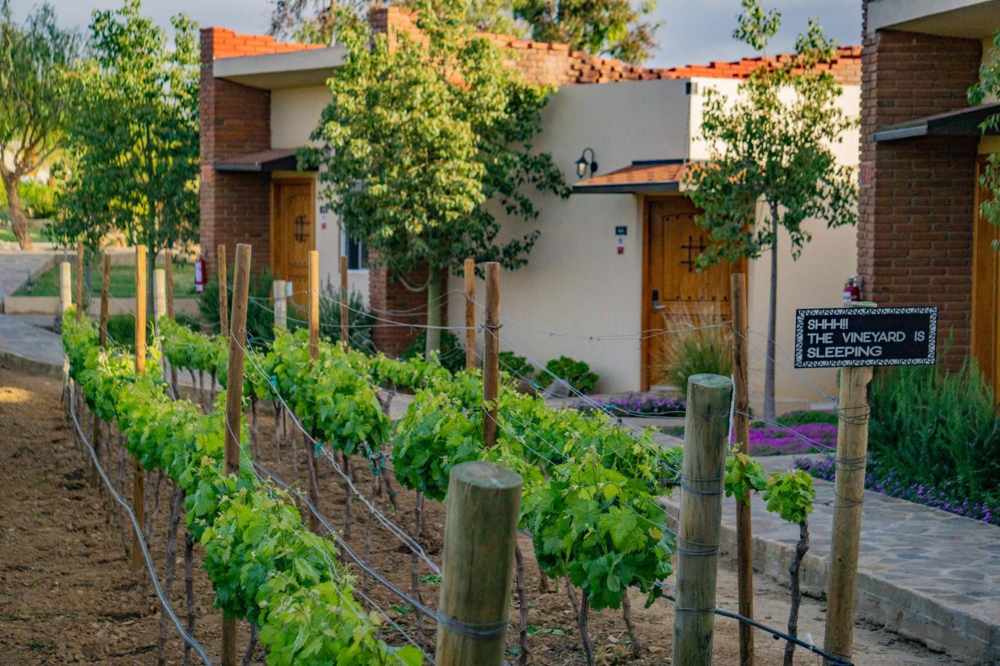 Ojo Azul Resort Valle de Guadalupe Ngoại thất bức ảnh