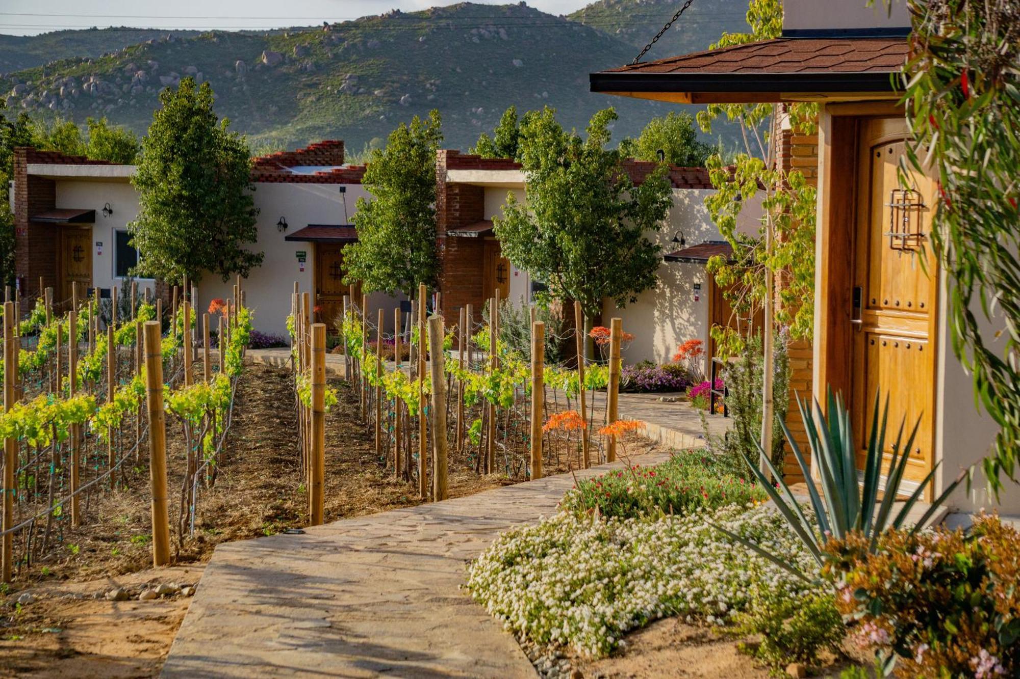 Ojo Azul Resort Valle de Guadalupe Ngoại thất bức ảnh