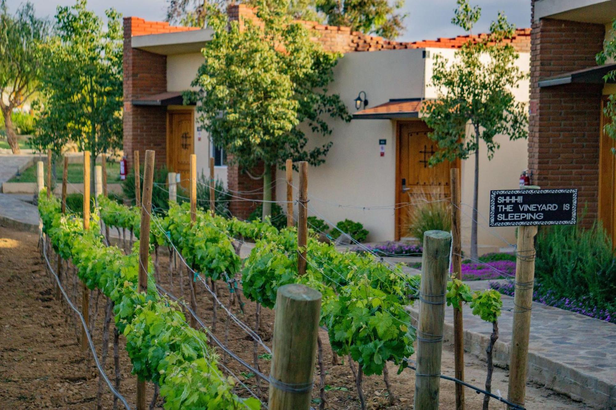 Ojo Azul Resort Valle de Guadalupe Ngoại thất bức ảnh